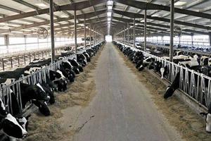 Terreno di 300000 m² a Caravaggio
