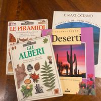 Set 4 Libri alberi piramidi deserti oceano foto