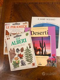 Set 4 Libri alberi piramidi deserti oceano foto