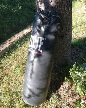 Sacco Leone 50 kg