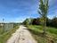 Immagine 14
