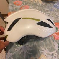 Casco e koi art 14 nuovo