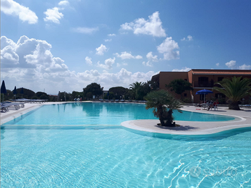 Stintino splendido monolocale