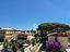 Immagine 23