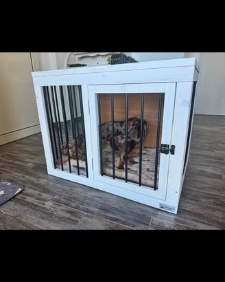 Kennel per cani