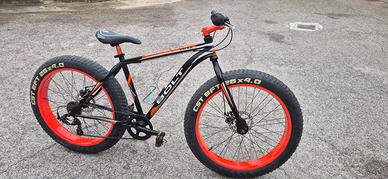 bici fatbike