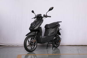 Scooter Elettrico TTX2