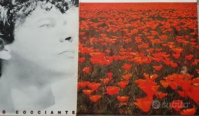 VINTAGE LP RICCARDO COCCIANTE IL MARE DEI PAPAVERI