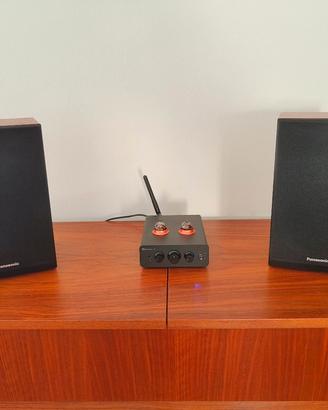 Coppia Diffusori Panasonic