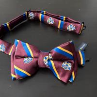 Papillon Harmont & Blaine bambino