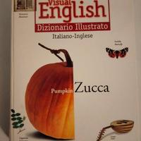 due dizionari visual english ita/eng + Eng/ita
