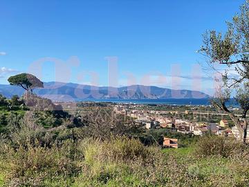 Terreno Agricolo Barcellona Pozzo di Gotto