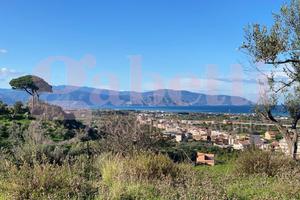 Terreno Agricolo Barcellona Pozzo di Gotto