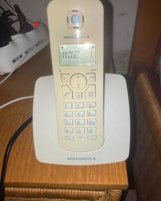 Telefono Cordless Motorola C401E Grigio