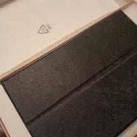 Tablet s22