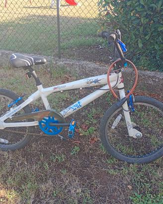 bicicletta 