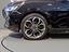 Immagine 7