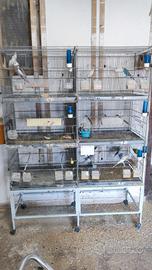 batteria di gabbie con carello 