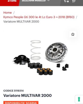 variatore Malossi  multivar 2000