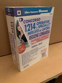 Simone concorso mercato del lavoro