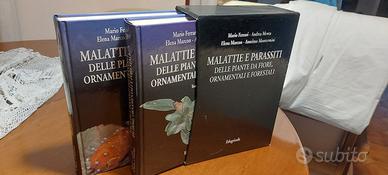 Malattie e parassiti delle piante da fiore, etc