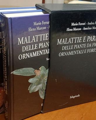 Malattie e parassiti delle piante da fiore, etc