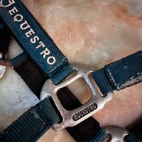 capezza equestro pony