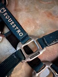 capezza equestro pony