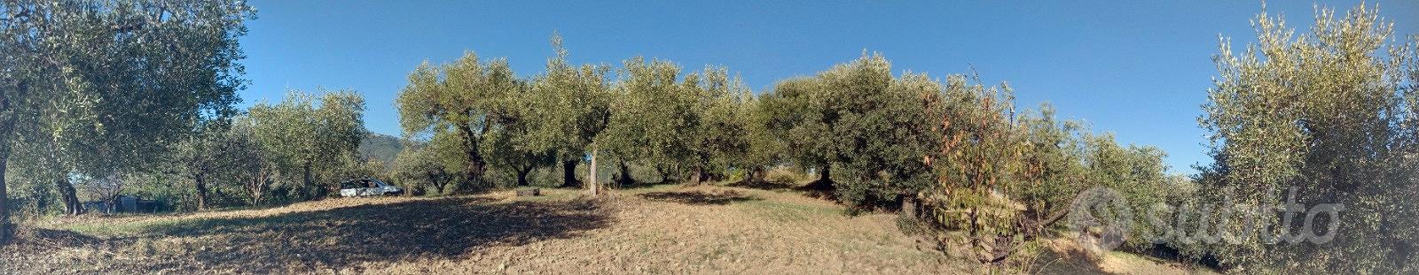 Terreno agricolo - Vista 2