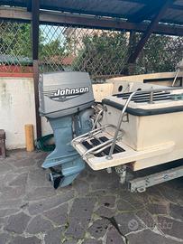 Barca con motore e carrello