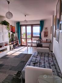 Pia Nalli Fonte Laurentina luminoso appartamento v