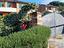Immagine 12