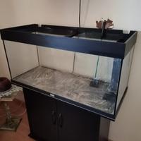 Acquario Marino completo