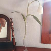 Vaso vetro soffiato Sia e fiore tulipano 