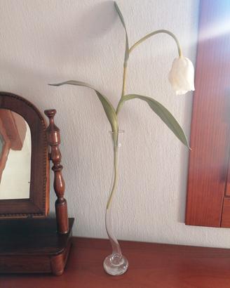 Vaso vetro soffiato Sia e fiore tulipano 