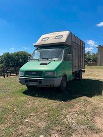 camioncino per cavalli iveco daily