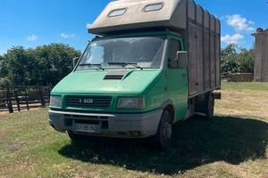 camioncino per cavalli iveco daily