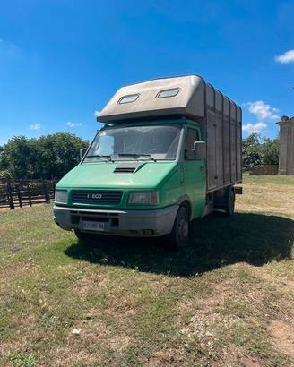 camioncino per cavalli iveco daily