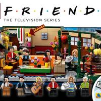 Manuale Istruzioni Lego IDEAS FRIENDS 21319