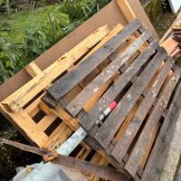 Legna gratuita pallet
