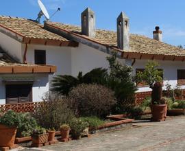 Villa o villino Palermo [41/23VRG]
