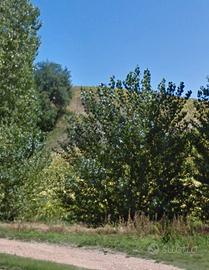 Terreno Agricolo - Novilara - Pesaro