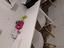 Immagine 4