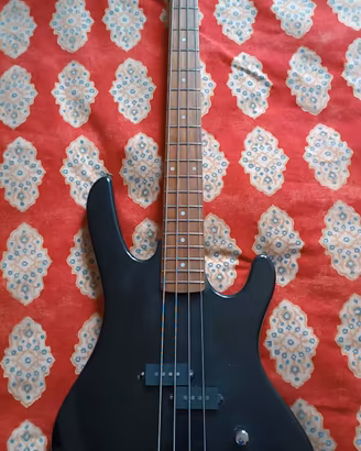 Basso elettrico Washburn XB100