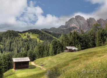 Rustico Alpago/Cansiglio/Nevegal