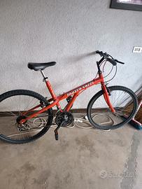 bici Mountain bike fausto coppi vintage 