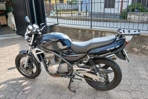 kawasaki er5