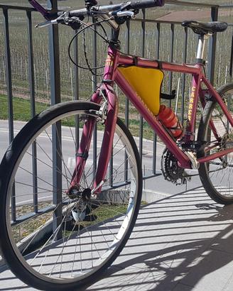 Bici mountain bike