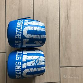 Guantoni pwr il Pugilato