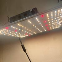 Lampada per acquario